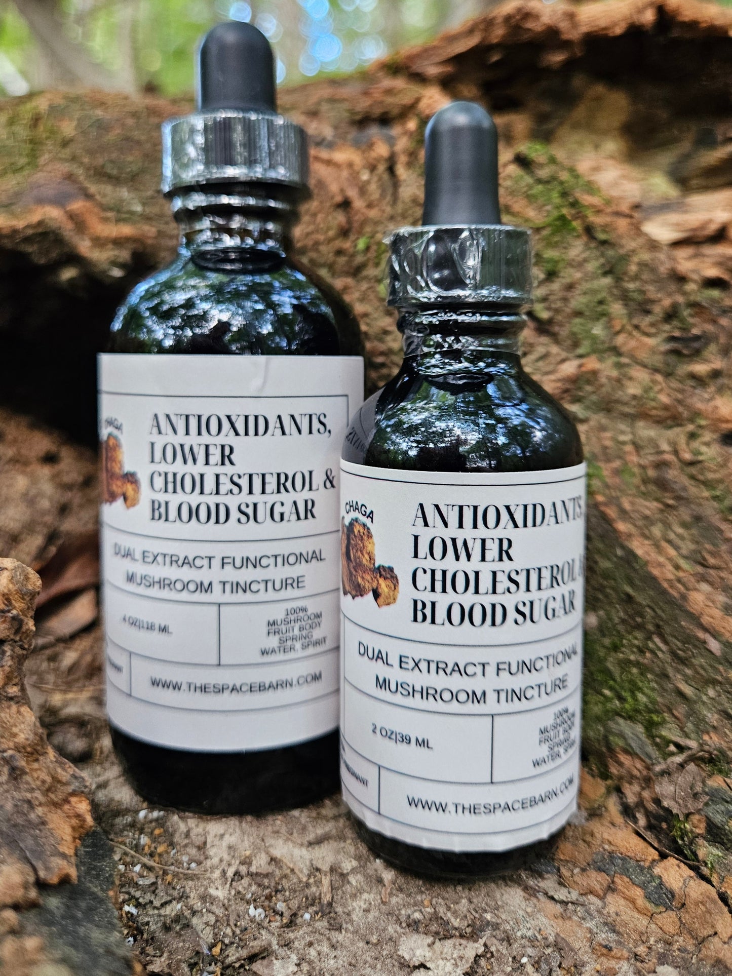 Chaga Dual Extracted Tincture