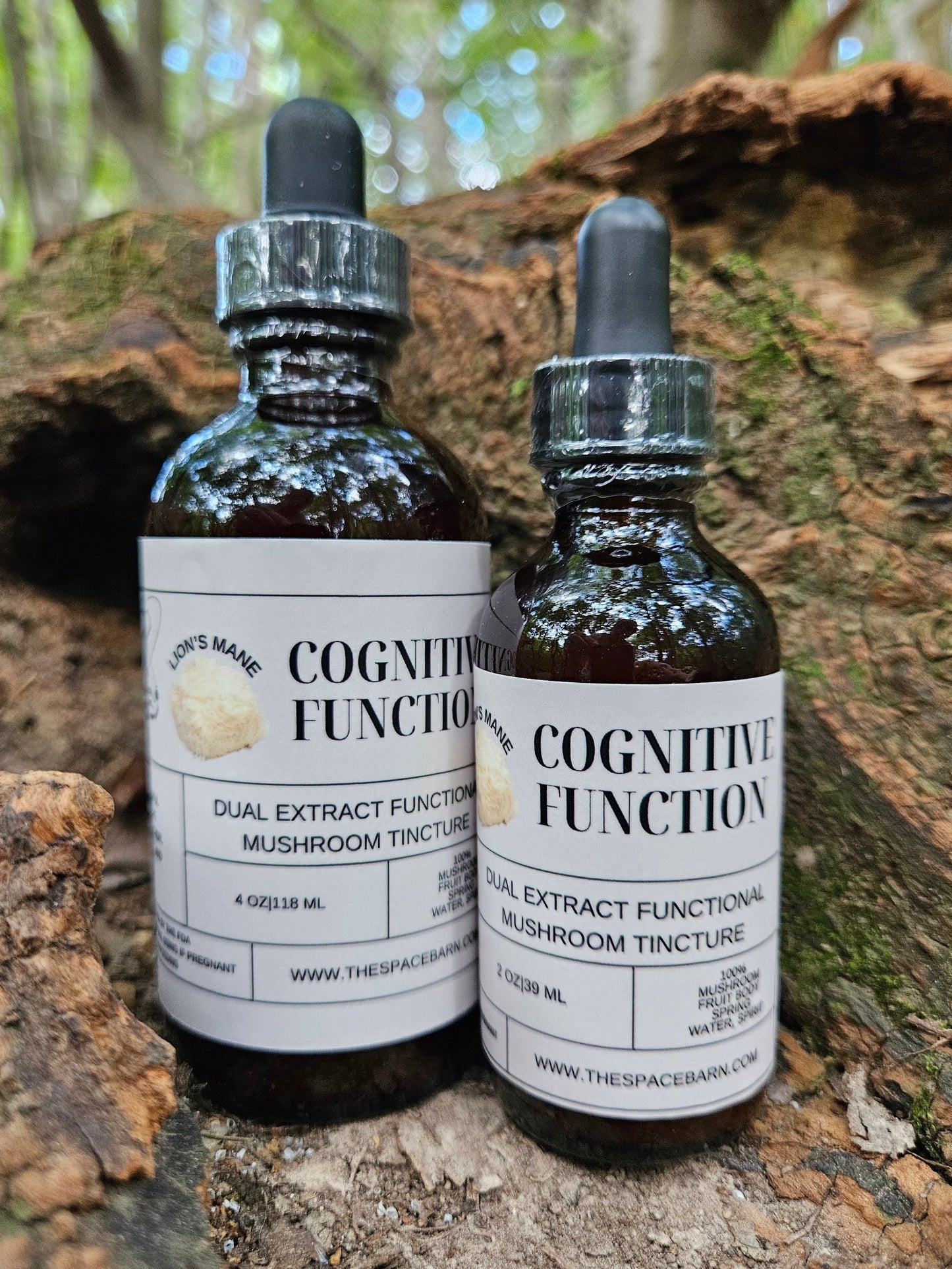 Lion's Mane Dual Extracted Tincture