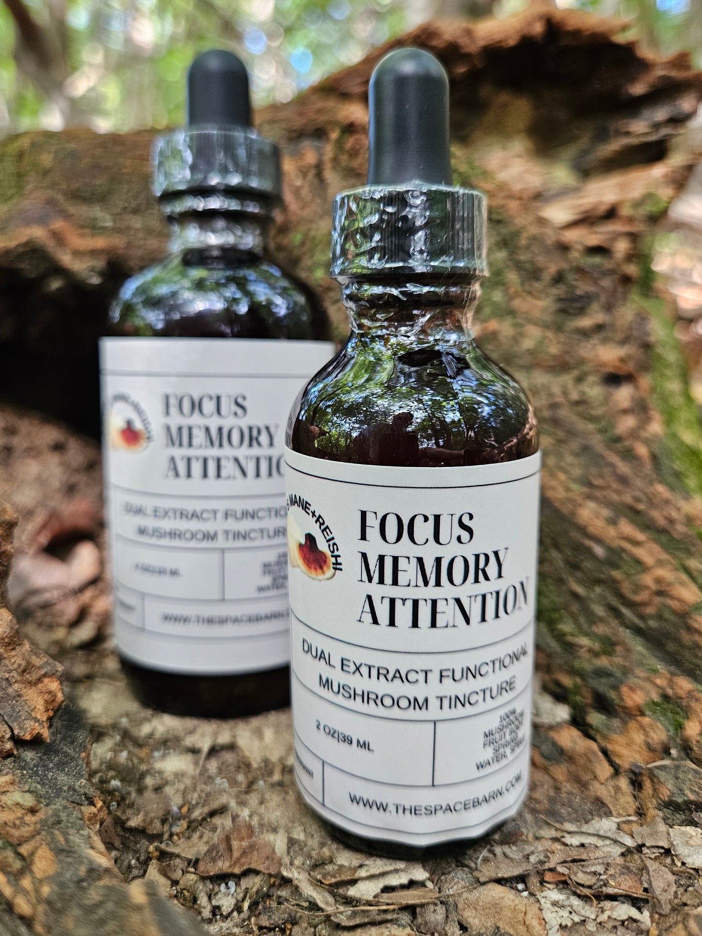 Reishi + Lion's Mane Dual Extracted Tincture