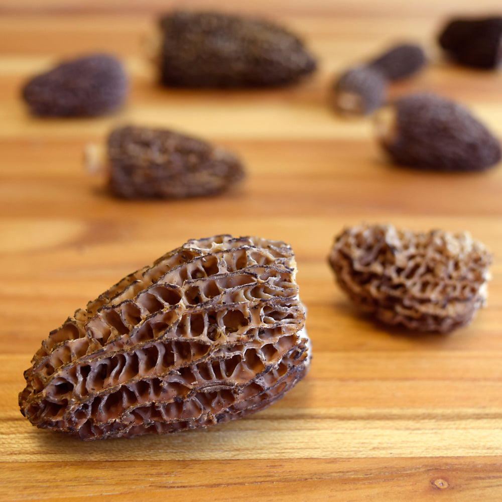 Dried Burn Morel